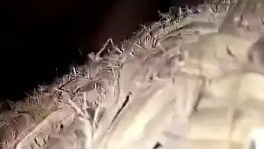 Desi Tamil Lovers Midnight Fuck